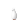 Stimulateur multifonction USB Renard 